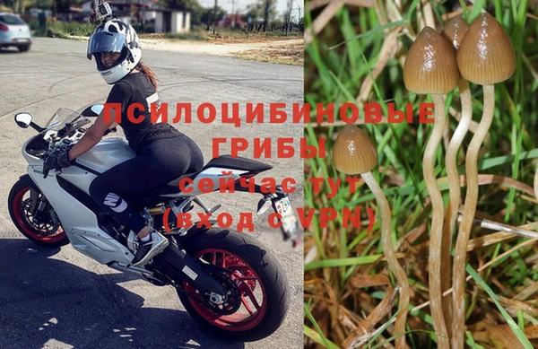 бошки Алексин
